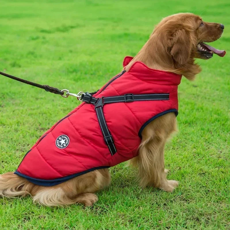 Winter Dog Jacket with Built-in Harness – Waterproof Warm Coat for Small & Large Dogs