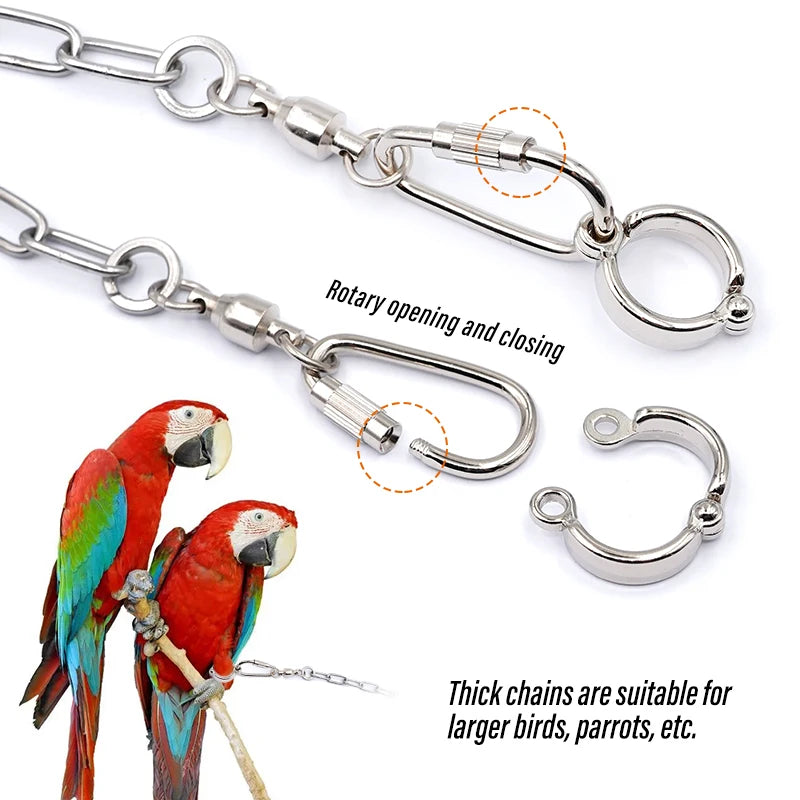 Parrot Leg Ring with Foot Chain – Bird Ankle Strap for Outdoor Flying & Training