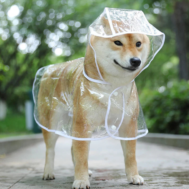 Transparent Dog Raincoat – Waterproof Hooded Jacket for Small Dogs & Puppies