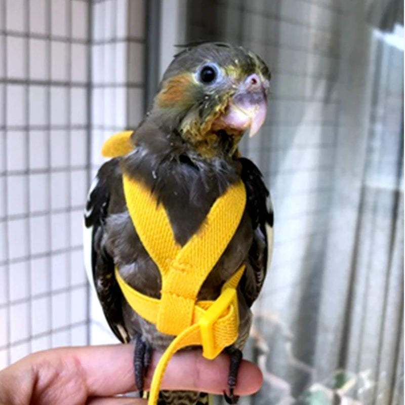 Parrot Flight Harness & Leash – Outdoor Training Suit for Budgies, Cockatiels & Macaws