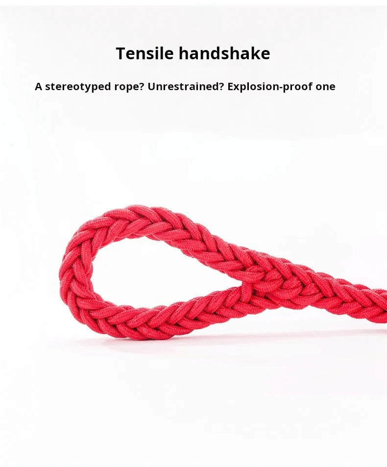 Comfort-Strong 5FT Braided Dog Leash for Training & Walks