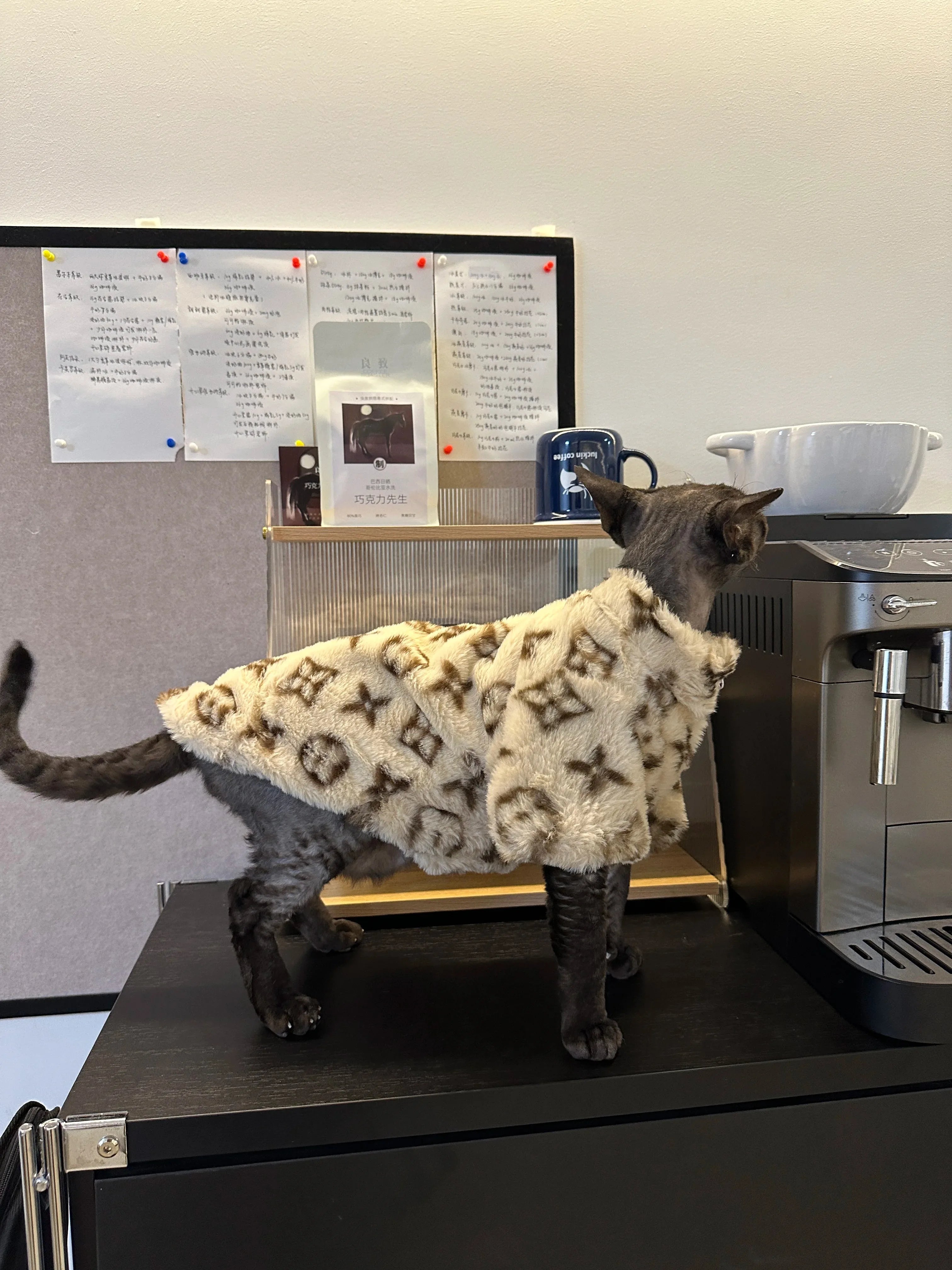 Winter Dog Hoodie – Warm Pet Clothes for Small & Medium Breeds