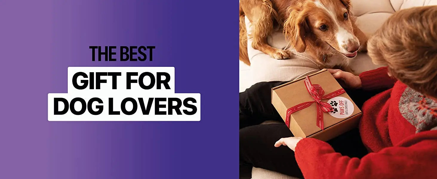 2023 Ultrasonic Dog Repeller – Rechargeable Anti-Bark Training Device with LED Flashlight