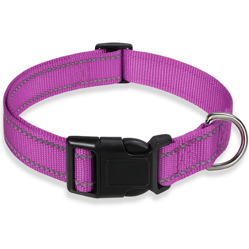 Reflective Adjustable Nylon Dog Collar for Small & Medium Pets