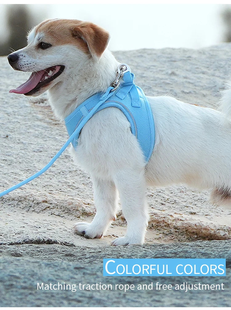 Reflective Dog Harness & Leash Set – Adjustable Pet Vest for Small & Medium Dogs