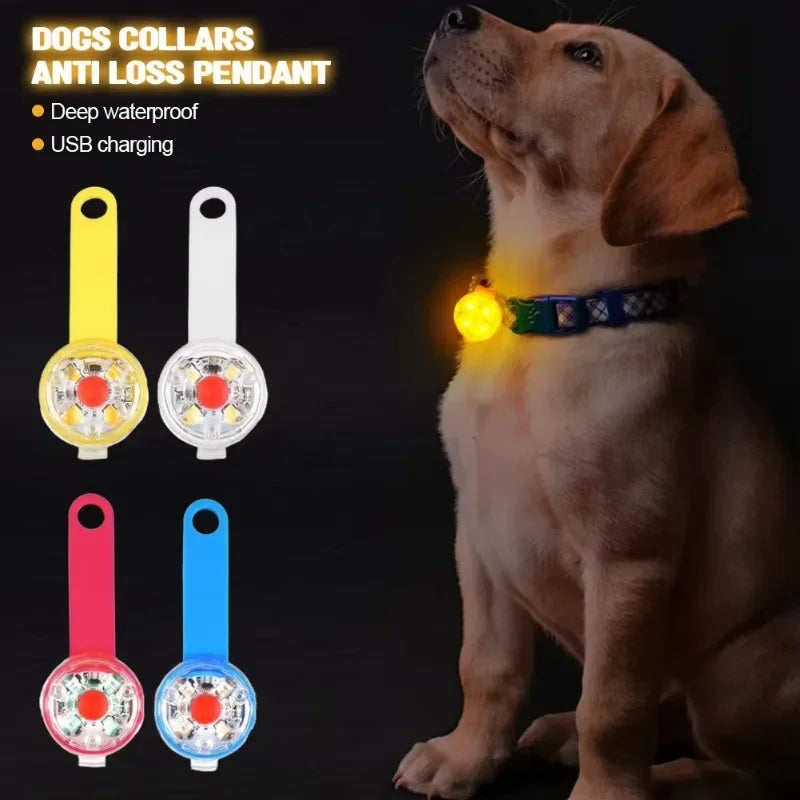LED Safety Light Dog Collar – USB Rechargeable & Weatherproof for Pets