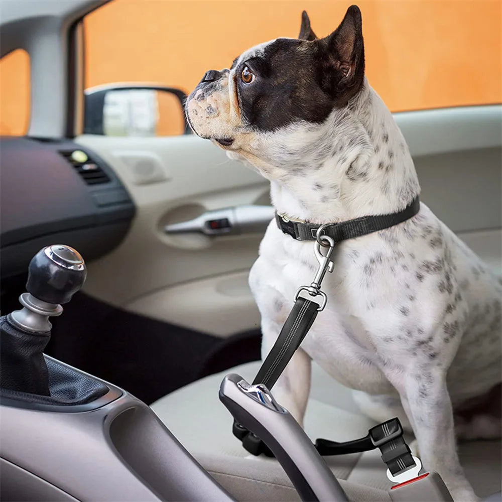 Adjustable Reflective Dog Car Seat Belt – Cushioned Elastic Travel Harness