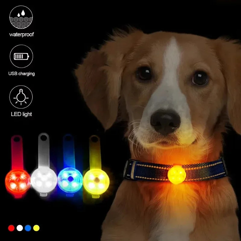 LED Safety Light Dog Collar – USB Rechargeable & Weatherproof for Pets