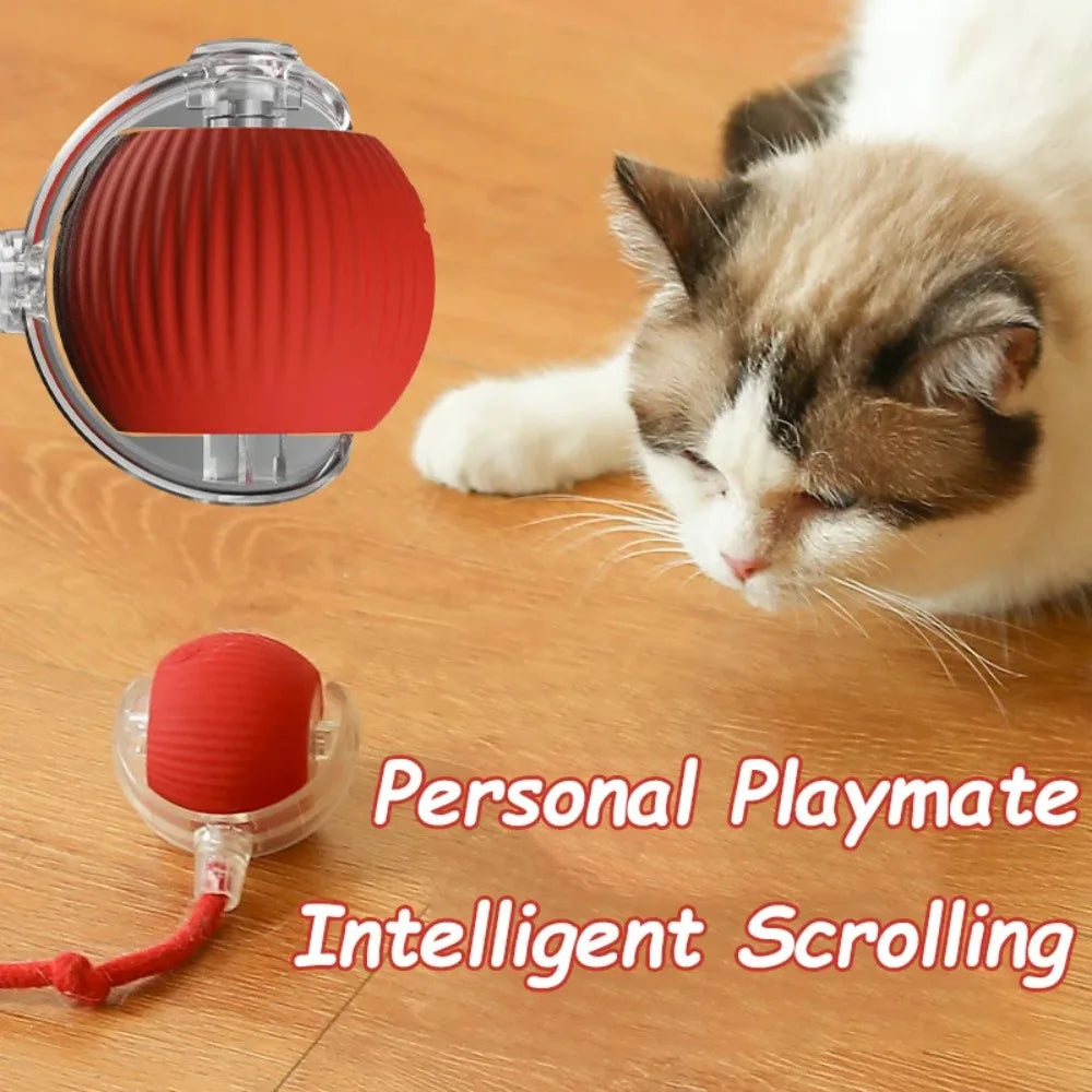 Rechargeable Smart Cat Ball Toy – Auto Rolling with Faux Tail, Imitates Mouse