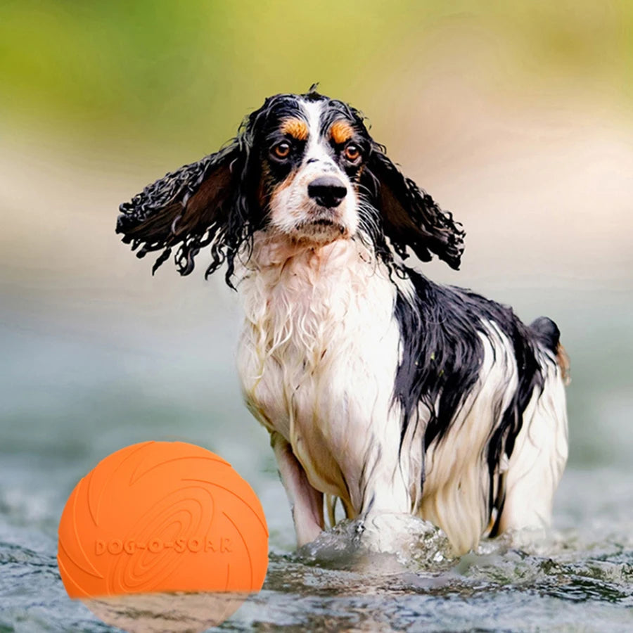 Dog Flying Disc Toy – Soft TPR, Bite-Resistant & Easy to Throw