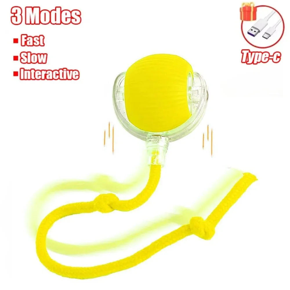 Rechargeable Smart Cat Ball Toy – Auto Rolling with Faux Tail, Imitates Mouse