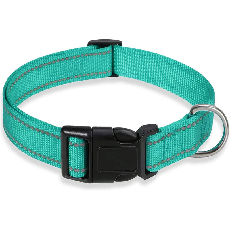 Reflective Adjustable Nylon Dog Collar for Small & Medium Pets