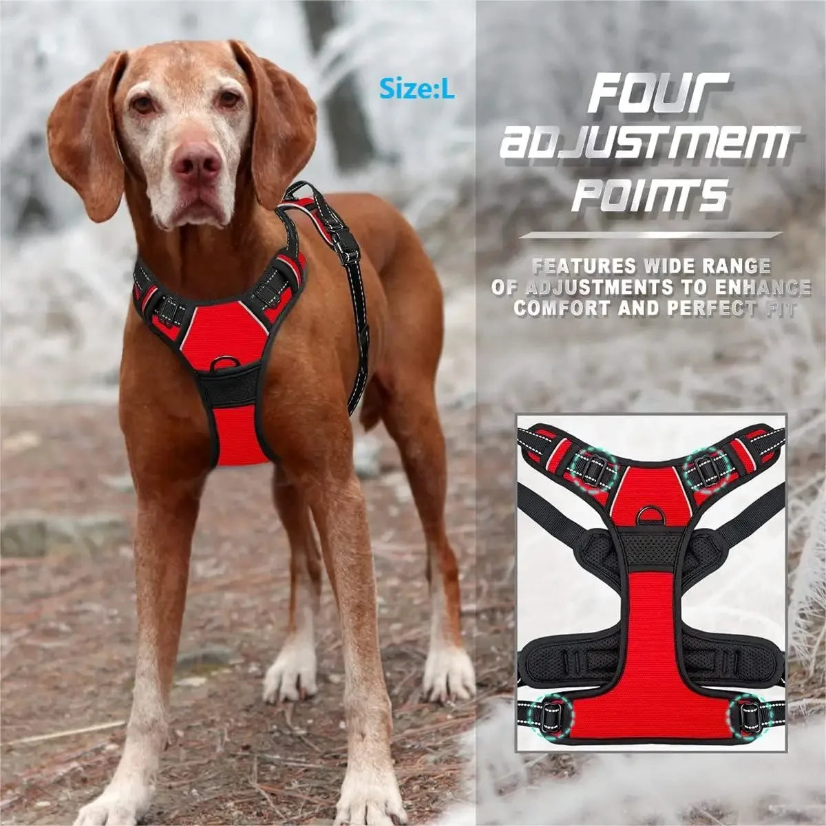 Leather Dog Harness & Leash Set for Small & Medium Dogs