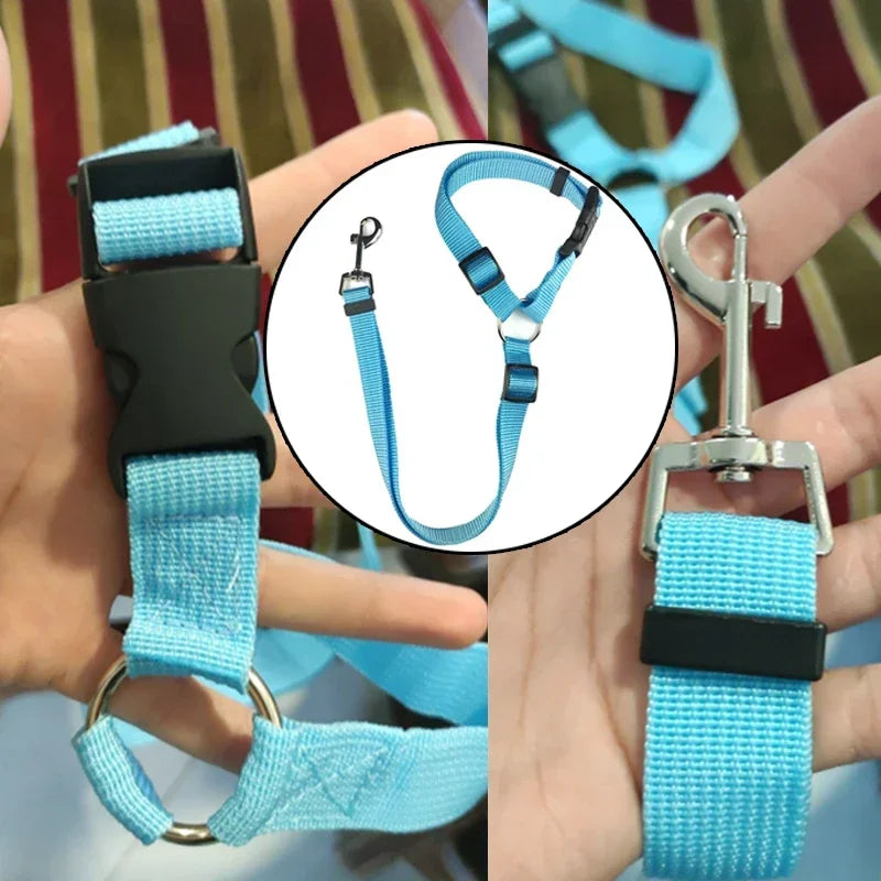 2-in-1 Adjustable Pet Car Seat Belt & Nylon Leash – Solid Color