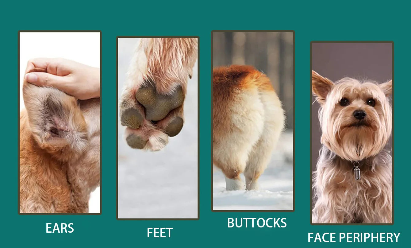 Rechargeable Dog Hair Clippers – Professional Silent Pet Grooming Trimmer