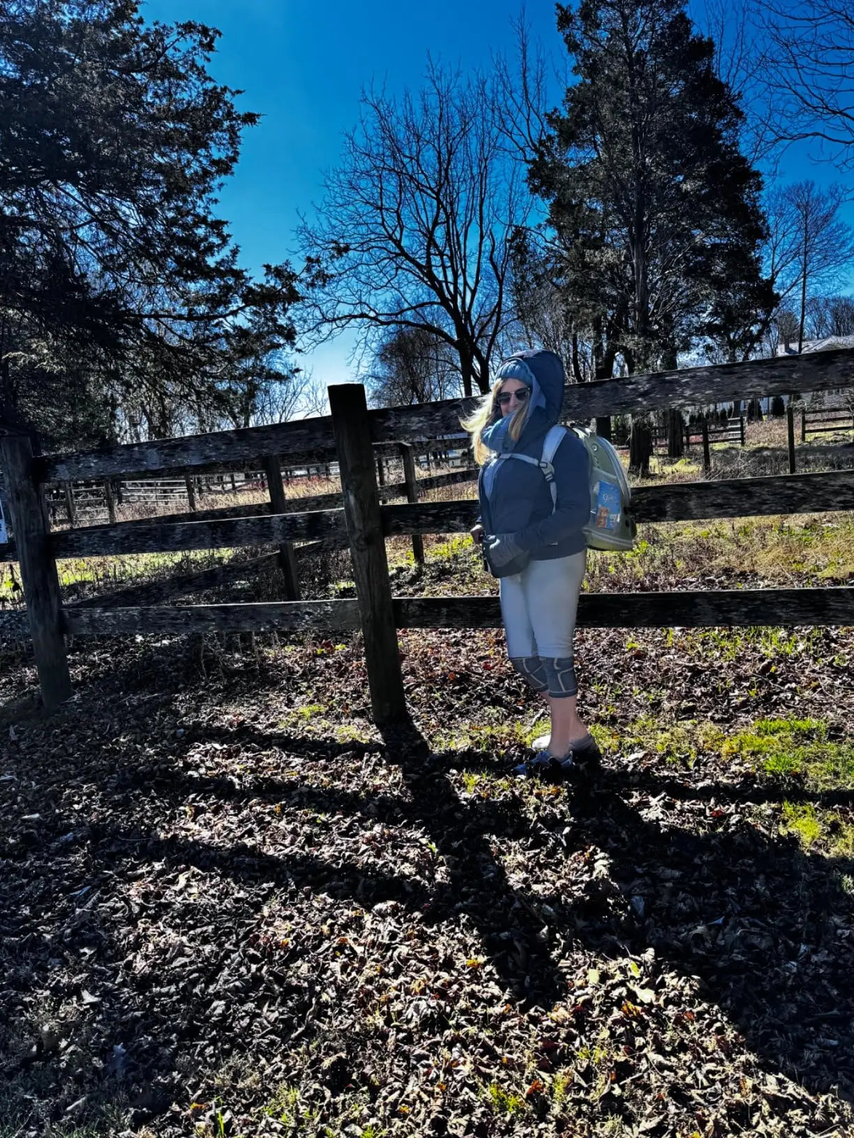 Transparent Folding Pet Carrier Backpack – Portable Travel Tote for Cats & Small Dogs