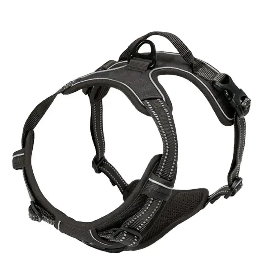 Leather Dog Harness & Leash Set for Small & Medium Dogs