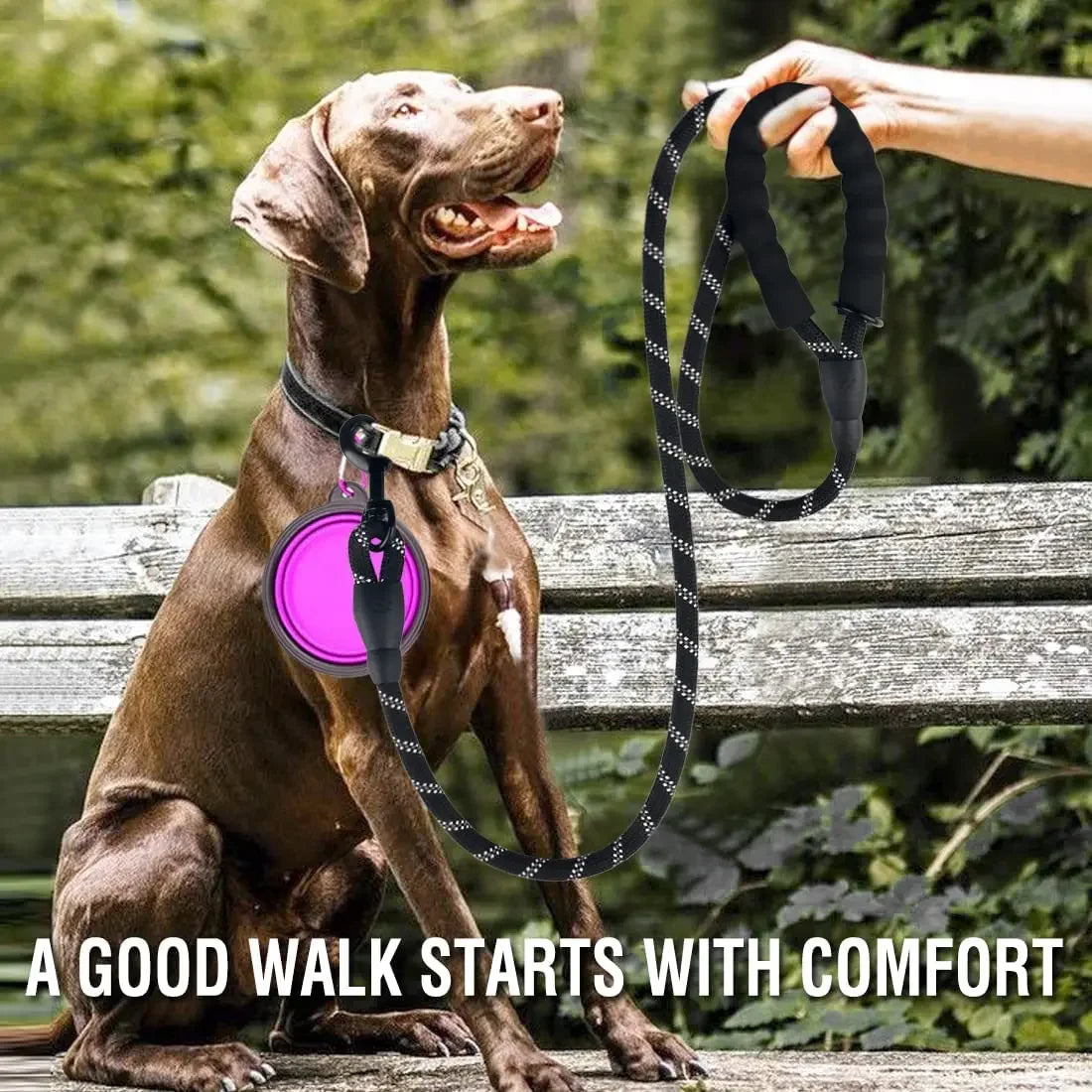 Heavy-Duty Reflective Dog Leash – For Small, Medium & Large Dogs